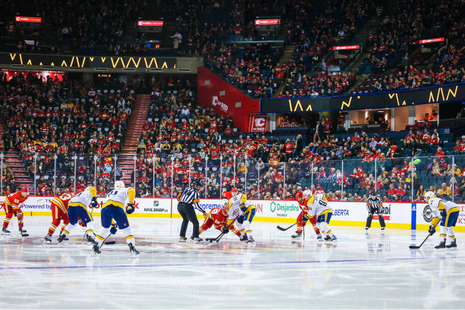 view of a NHL game