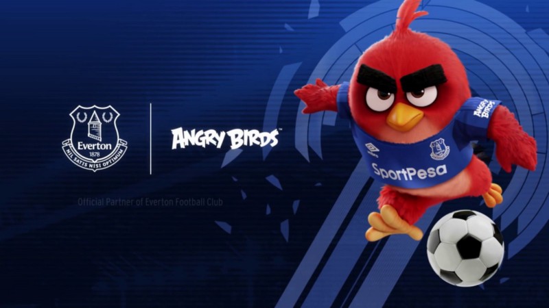 everton angry birds jersey
