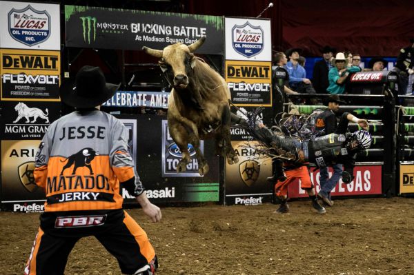 How Professional Bull Riders Introduces Its Culture to New Audiences