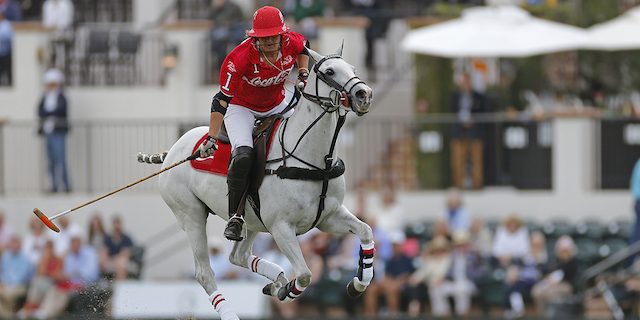Gauntlet of Polo