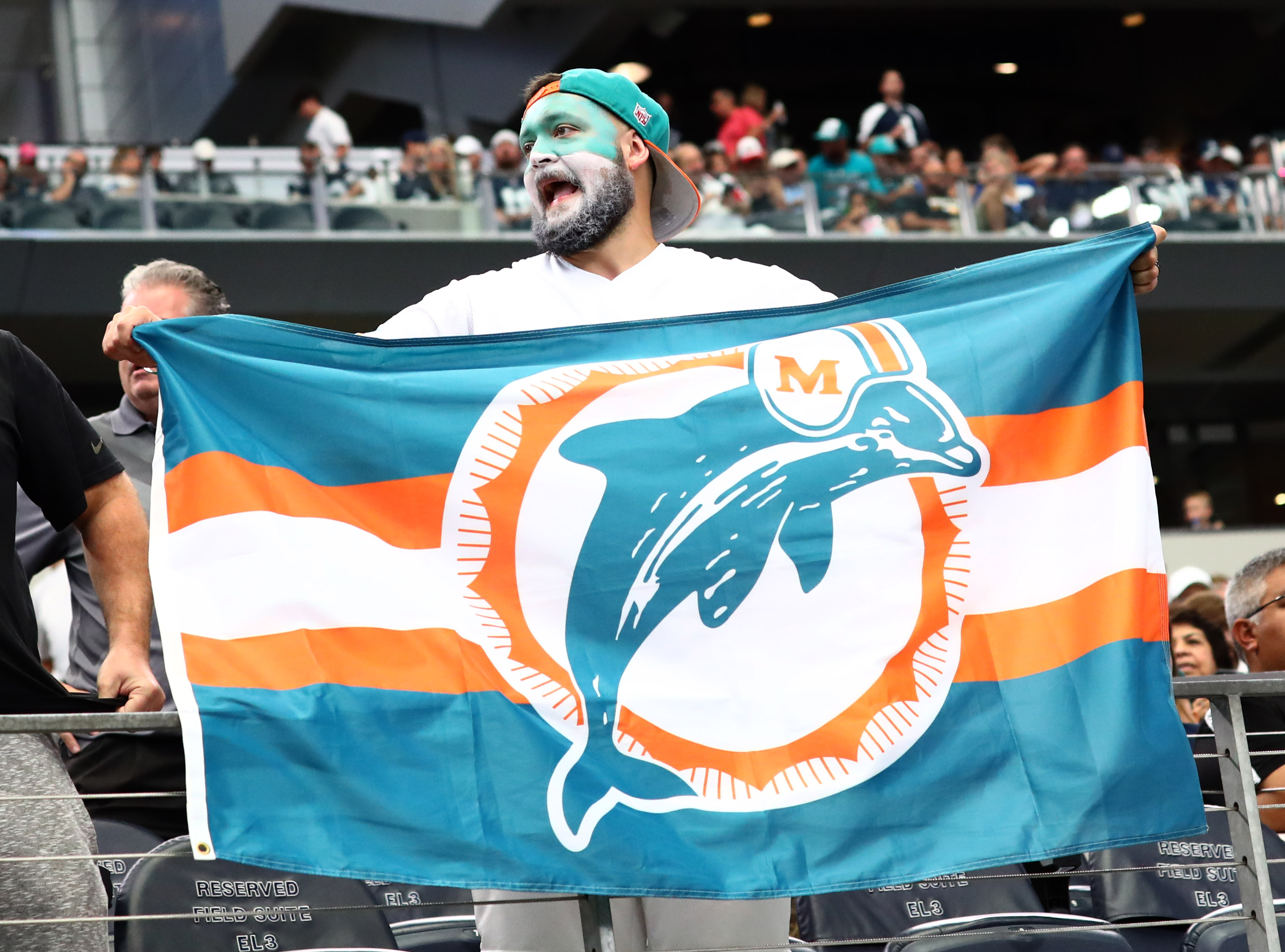 Miami Dolphins' Partnership With Litecoin Gives More Options