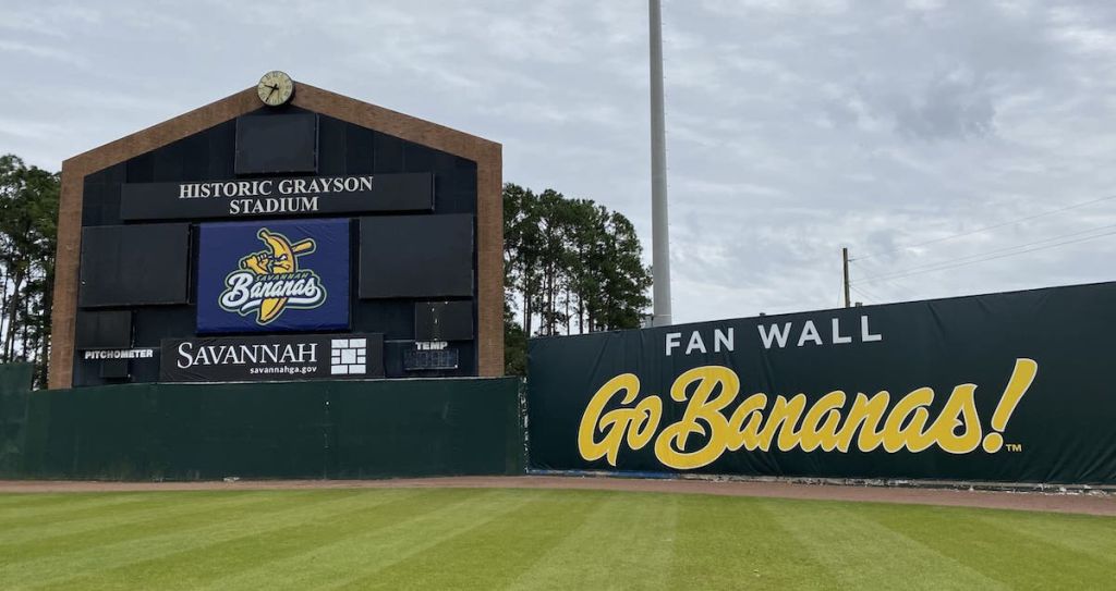Savannah Bananas