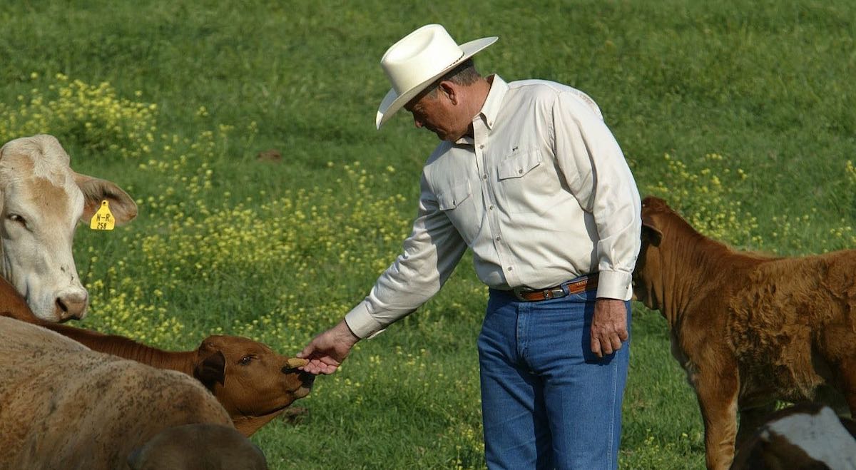 Nolan Ryan Commercial!, Nolan Ryan came to Southeast Texas to check out  Novrozsky's Hamburgers, where we serve his delicious all-natural beef! He  met with some fans, signed some