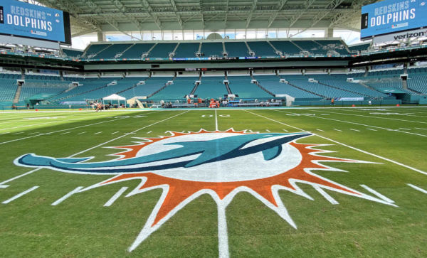 Dolphins stands