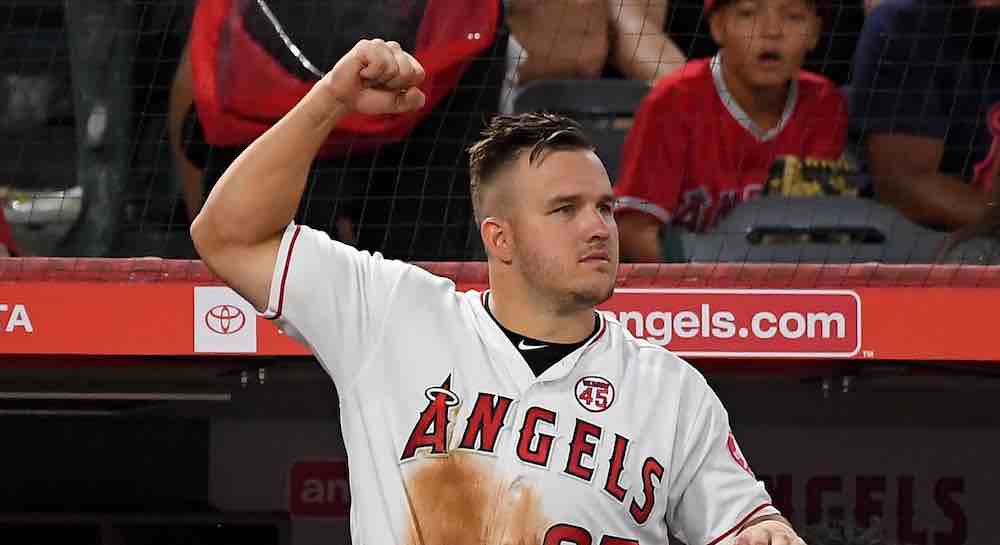 Trout