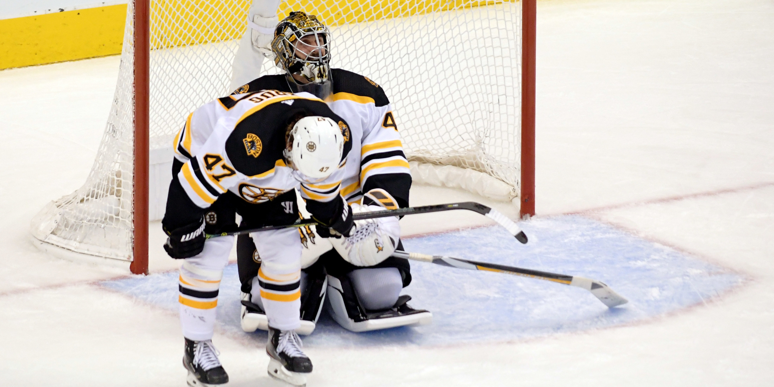 Bruins