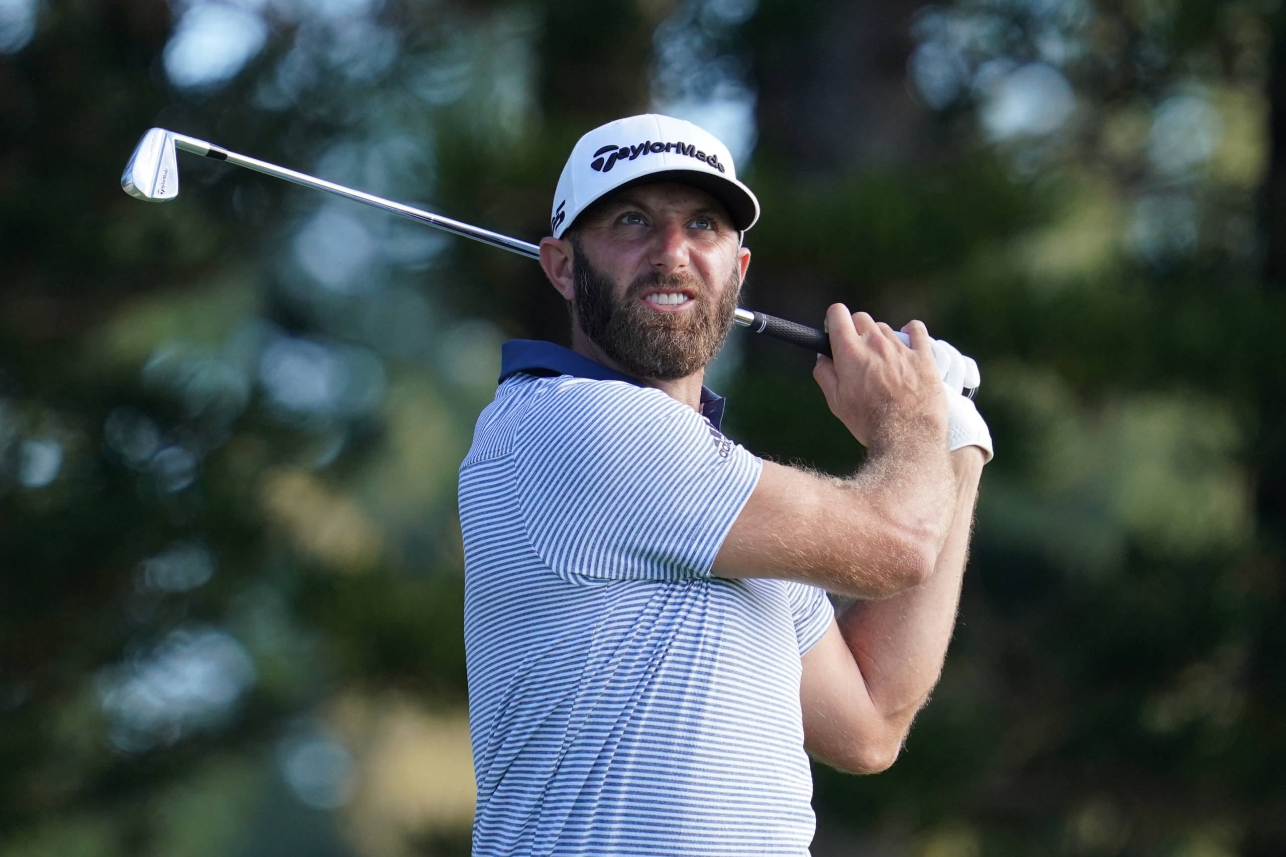 Dustin Johnson