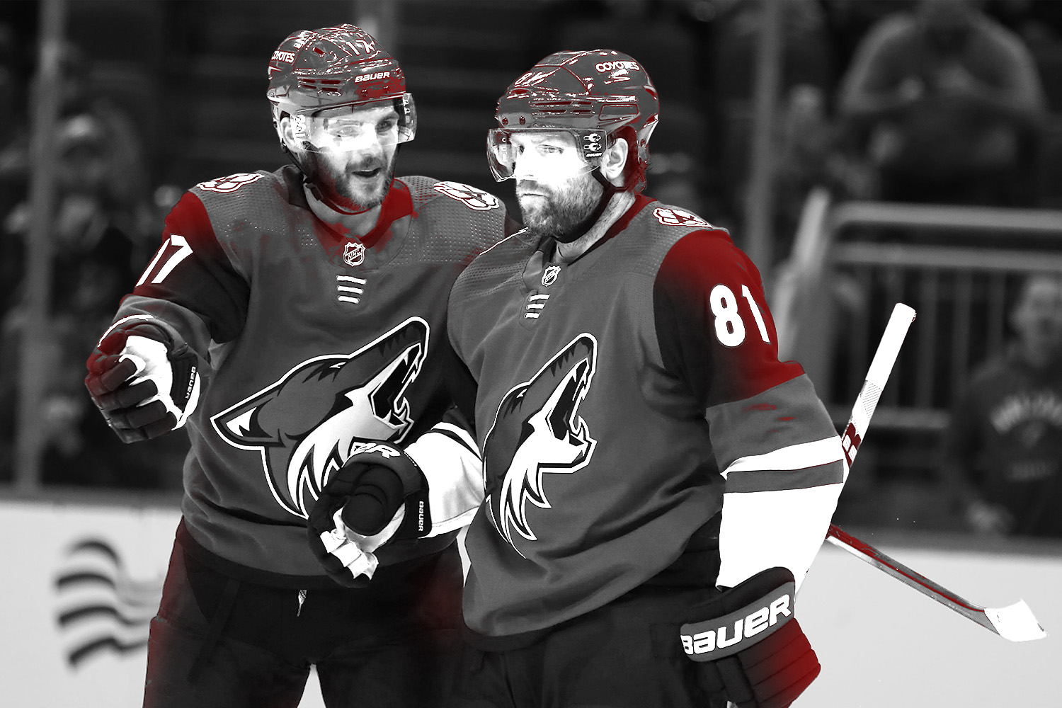 (Arizona-Coyotes)