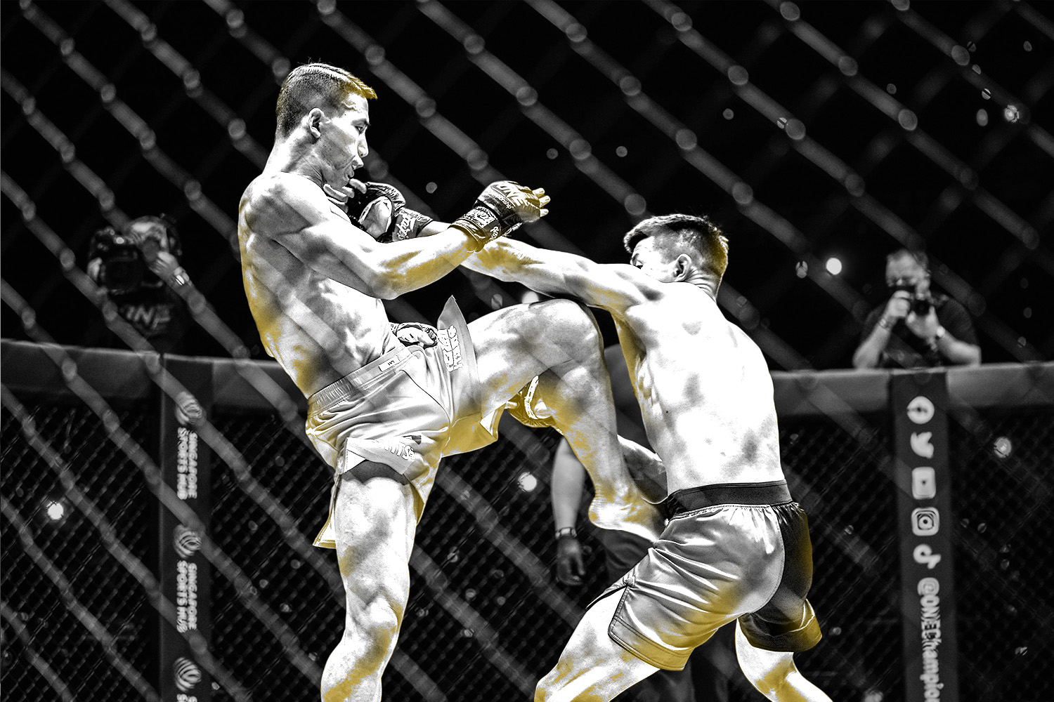 One-Championship-MMA)