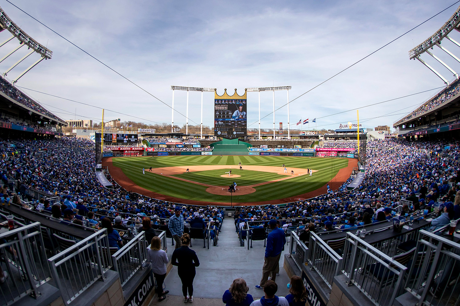 kansas-city-royals