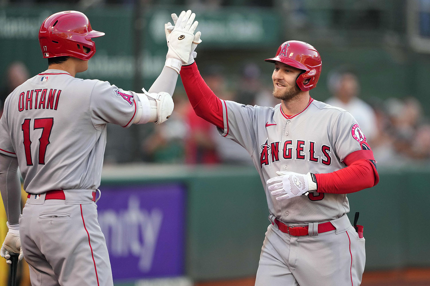Taylor Ward MVP Odds: Ohtani, Trout Have Competition from Teammate