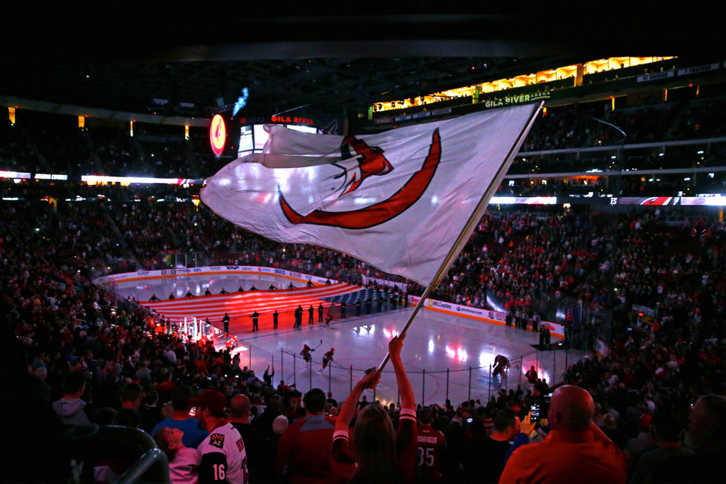 Arizona-Coyotes