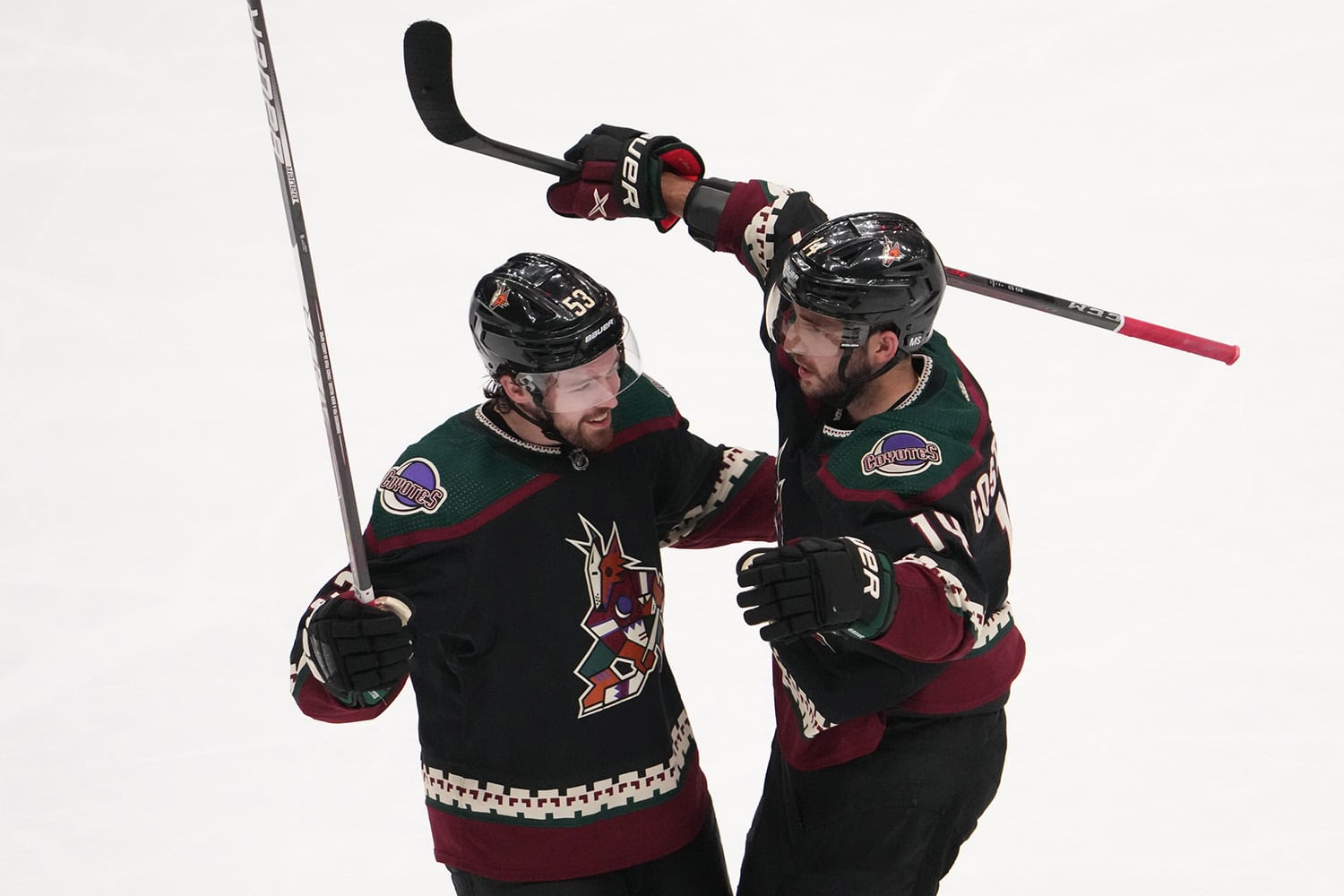 Arizona-Coyotes