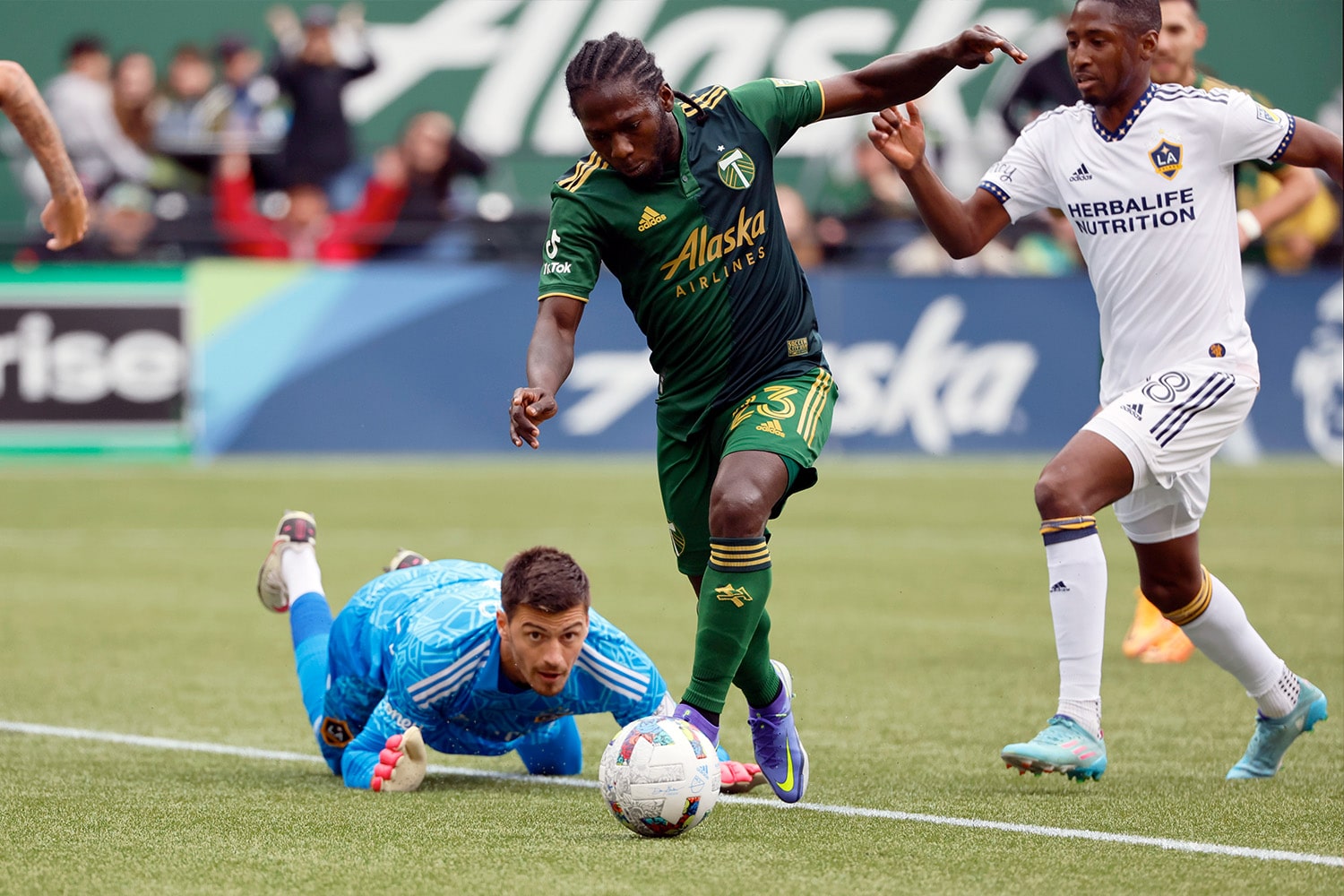 Portland Soccer: Timbers and Thorns