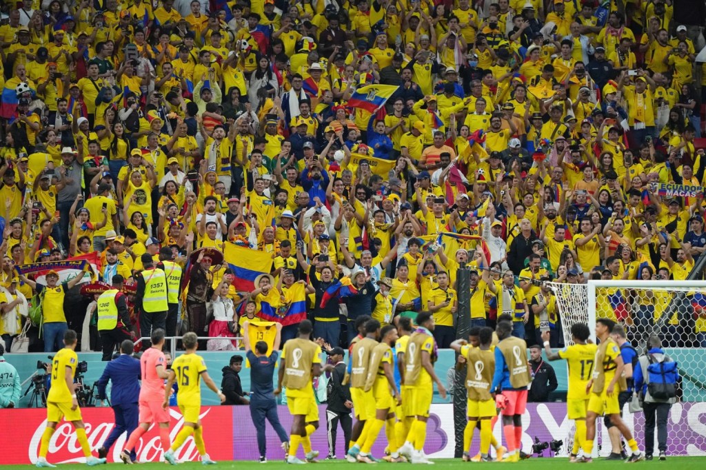 Ecuador fans in stadium cheer while supporting their team after winning World Cup match