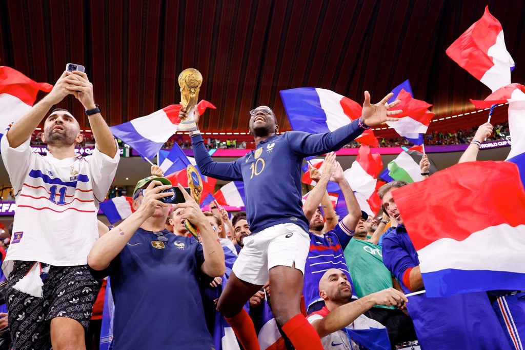 French fans cheering in the stands at the World Cup