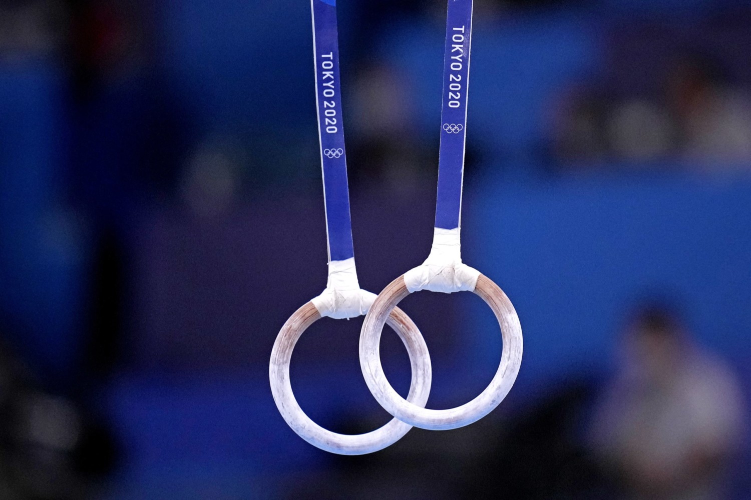 Gymnastics rings