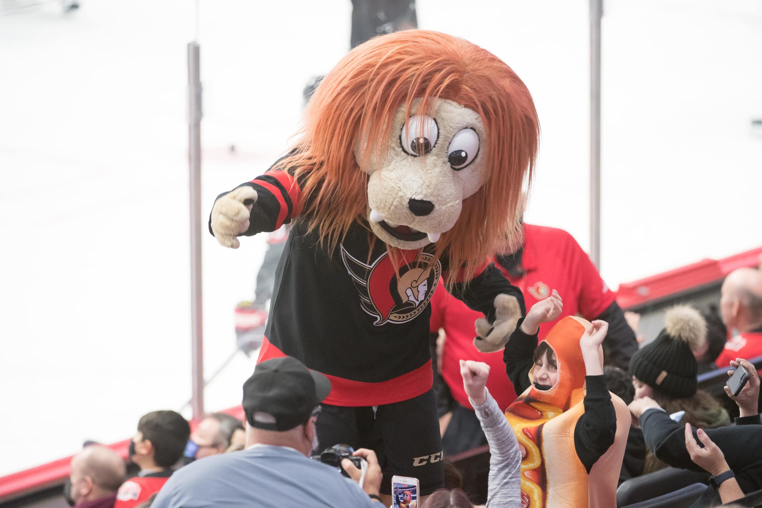 Four groups submitted bids for Ottawa's NHL franchise ahead of Monday's deadline.