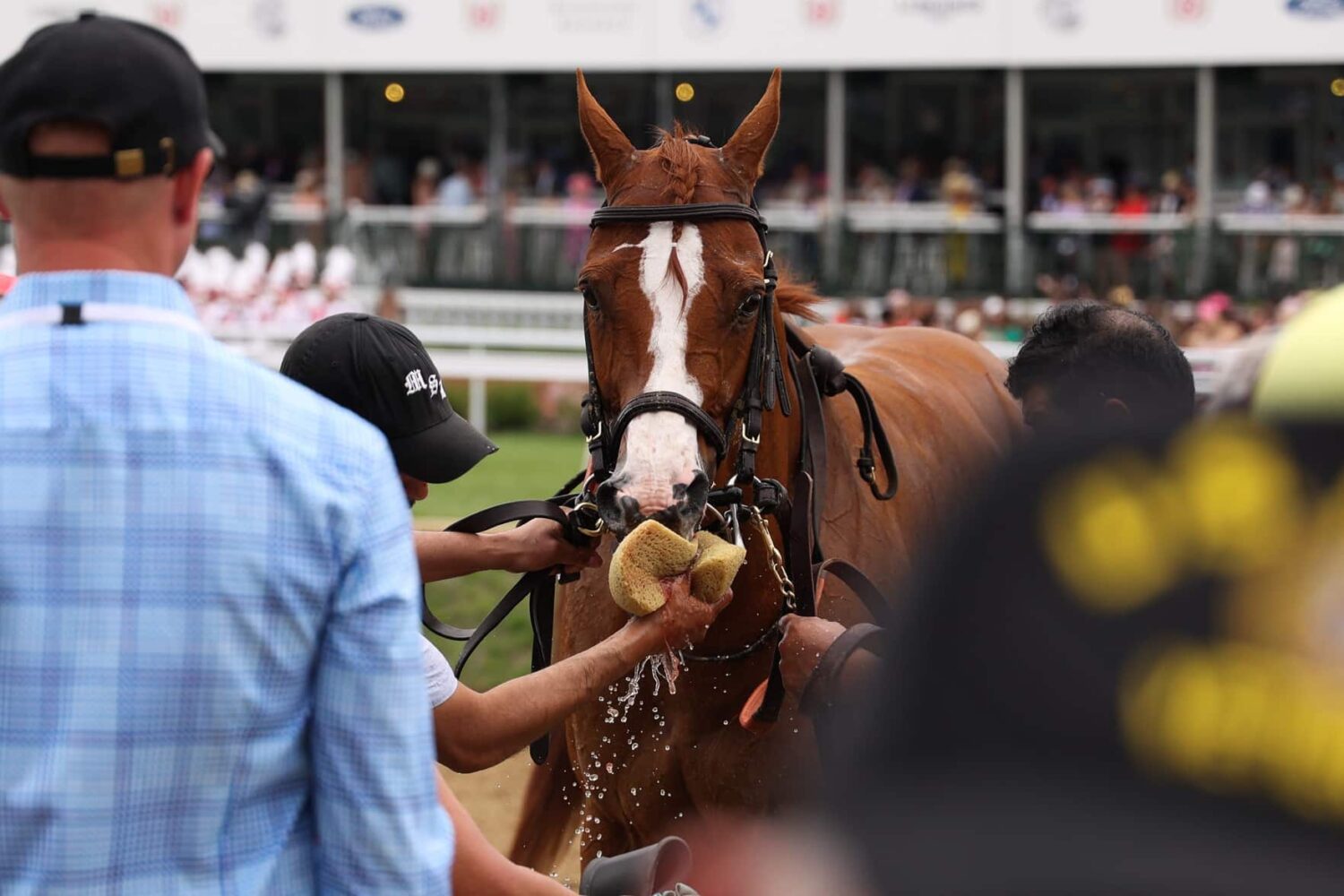 A horse is washed on the track after a race on Derby Day on Saturday, May 6, 2023, at Churchill Downs in Louisville, Kentucky.
