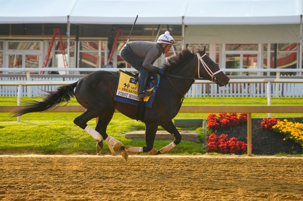 The seven-horse Preakness is its smallest field since 1986.