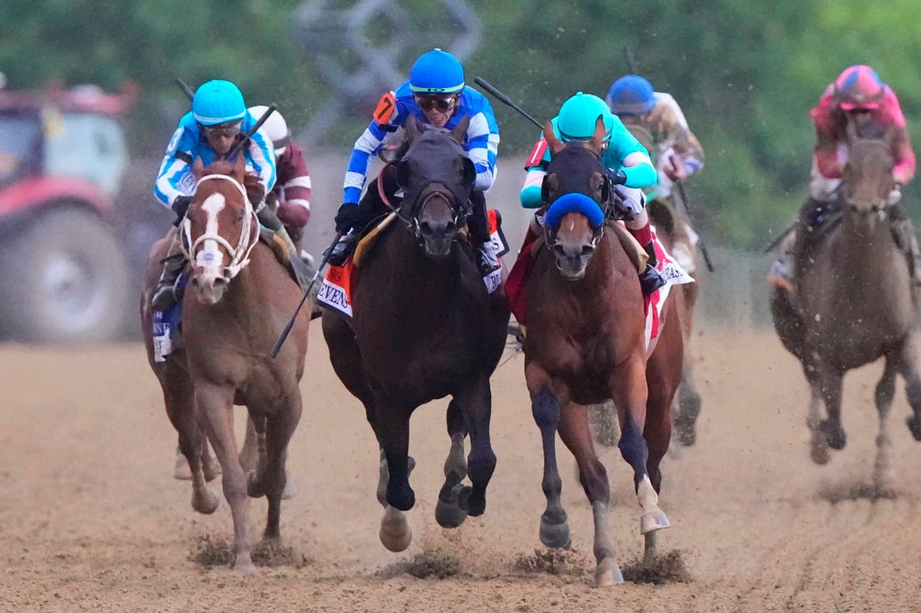 New horse racing league to form.