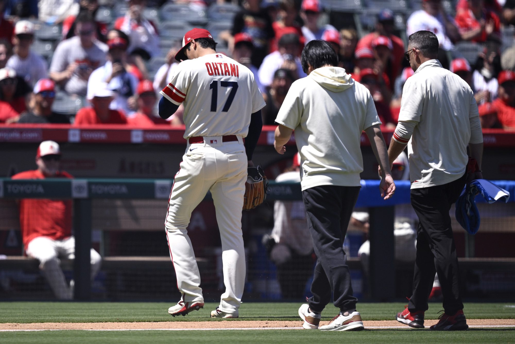 Angels' Ohtani ruled out for the season
