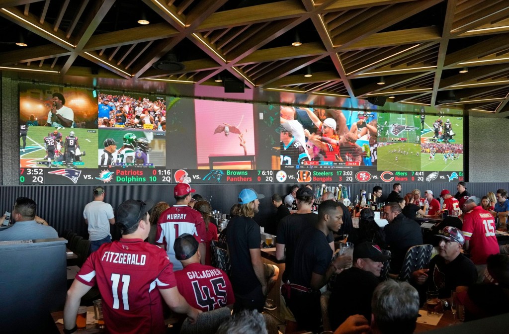 BetVision allows NFL fans to watch and bet on games in same app