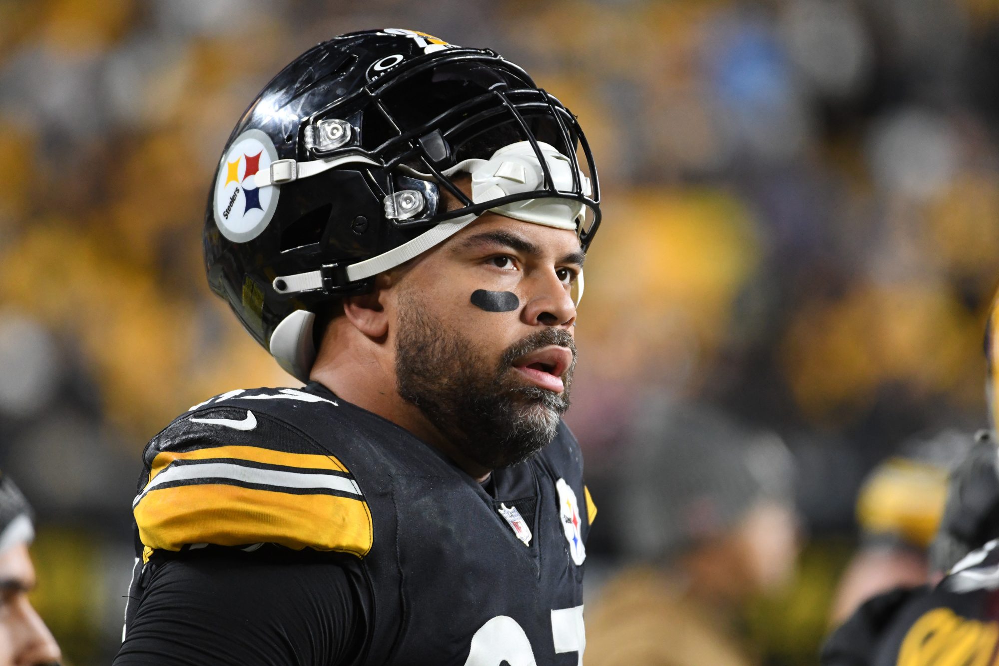 Nov 2, 2023; Pittsburgh, Pennsylvania, USA; Pittsburgh Steelers defensive end Cam Heyward watches the game against the Tennessee Titans during the second quarter at Acrisure Stadium.