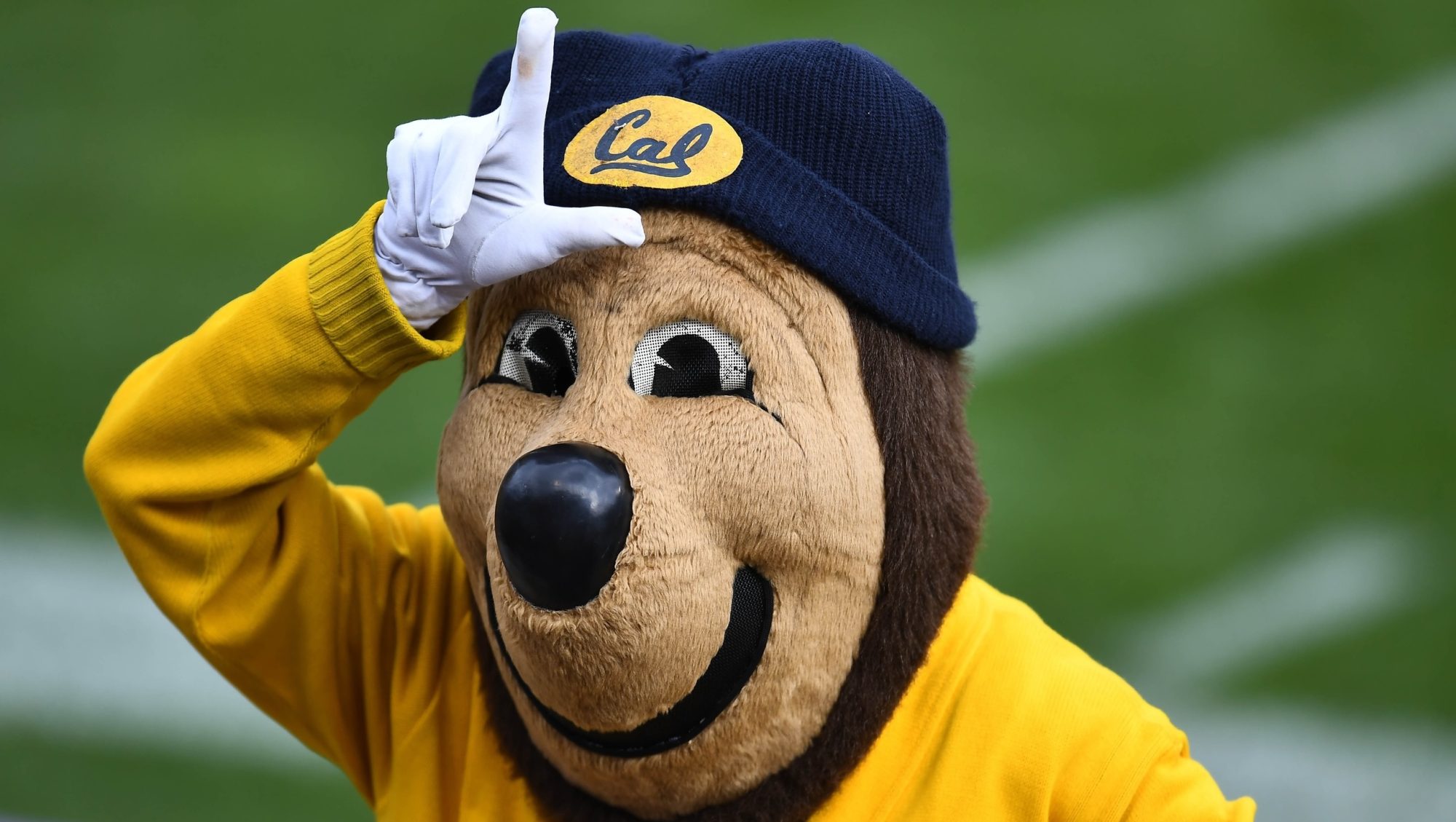 The Cal mascot, Oski