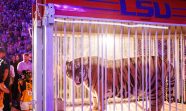 Louisiana Governor s PAC Paid For Controversial LSU Tiger