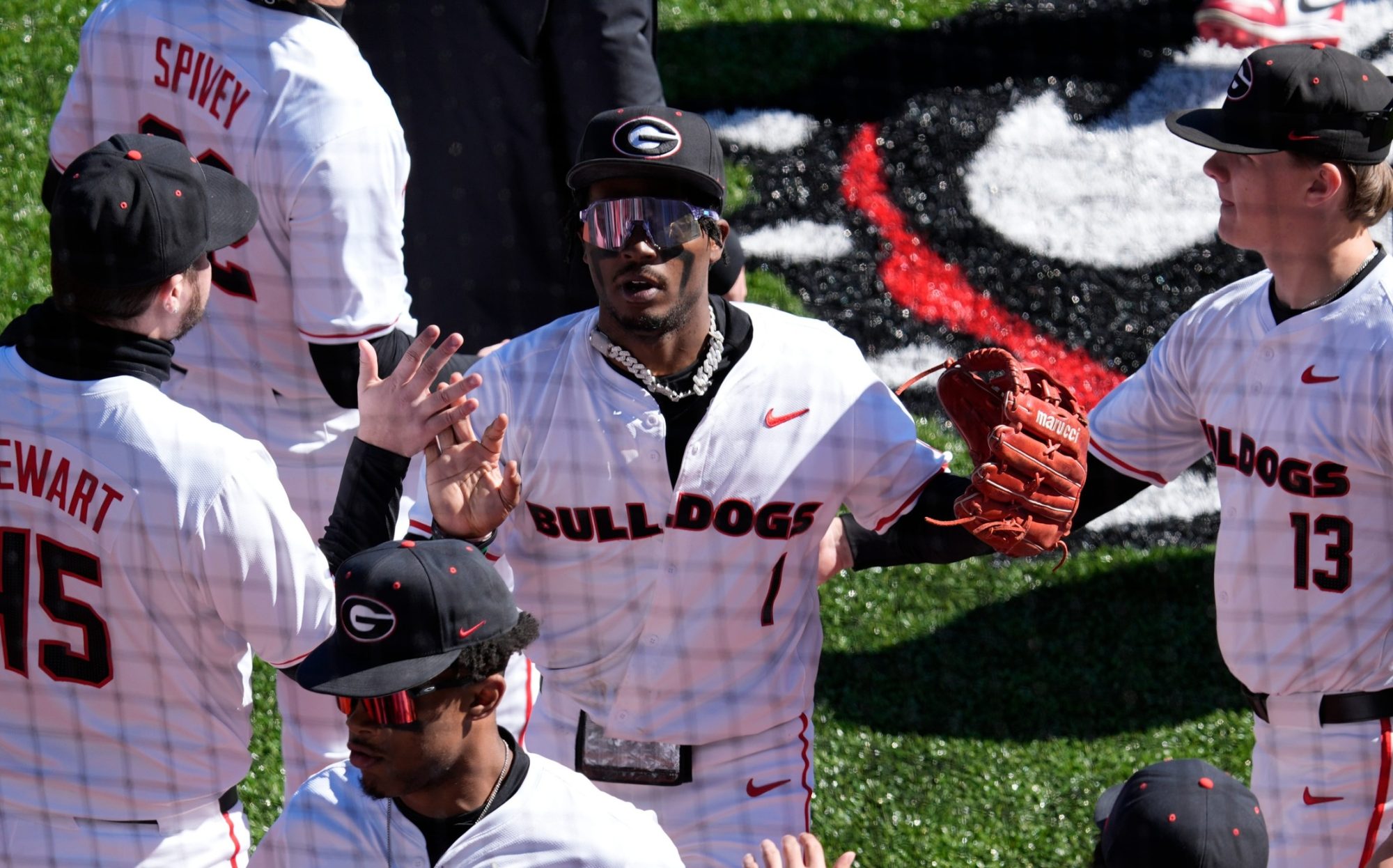 Georgia baseball