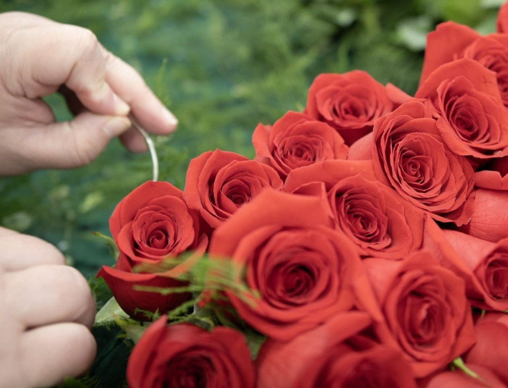 Kroger - Garland of Roses
