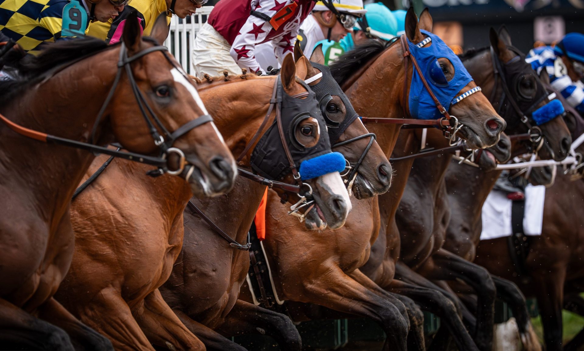 Sovereignty Wins Kentucky Derby, $3.1M Purse