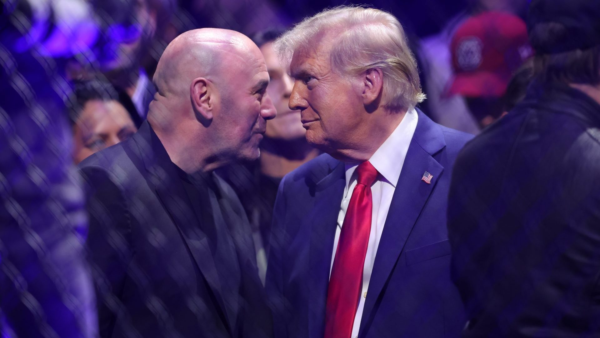 Nov 16, 2024; New York, NY, USA; President-elect Donald Trump speaks with Dana White (left) during UFC 309 at Madison Square Garden.