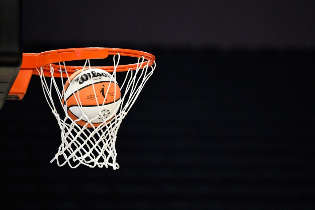Aug 19, 2025; San Francisco, California, USA; The WNBA logo is seen on a ball before the Golden State Valkyries play the Phoenix Mercury at Chase Center