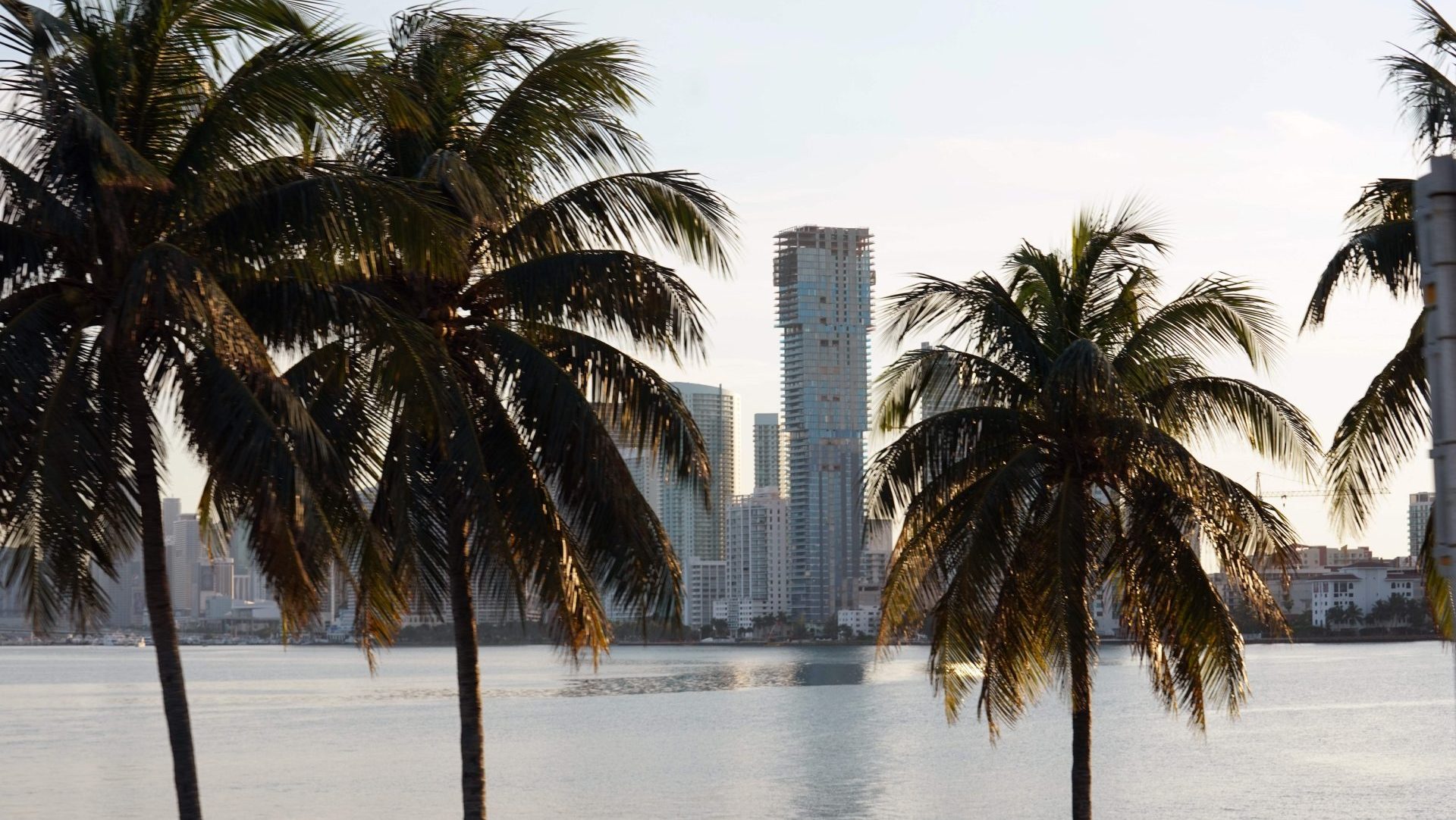 Jan 30, 2020; Miami, Florida, USA; General overall view of palm trees and the downtown Miami skyline.