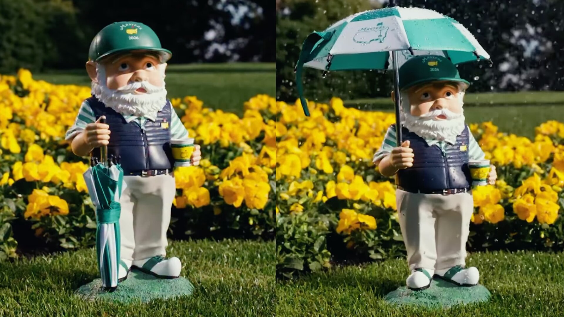 Masters Gnome