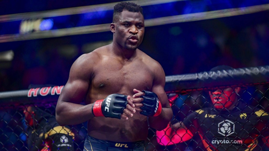 Jan 22, 2022; Anaheim, California, USA; Francis Ngannou (red gloves) before his fight against Ciryl Gane during UFC 270 at Honda Center. Mandatory Credit: Gary A. Vasquez-USA TODAY Sports