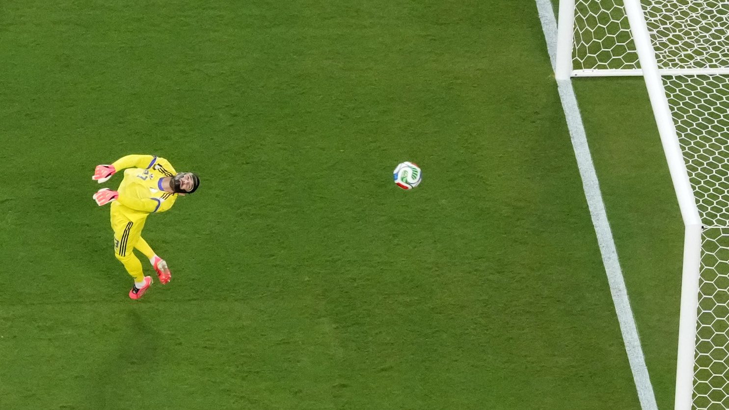 World Cup's Unpredictable Ball
