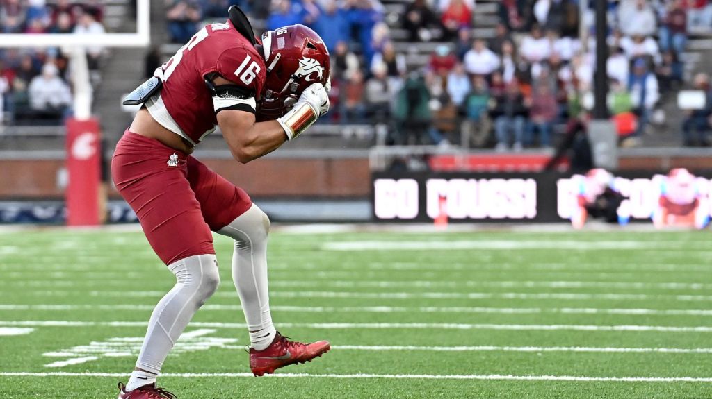 Oct 24, 2026; Pullman, Washington, USA; Washington State Cougars linebacker Isaiah Hung (16) celebrates after a play against the Boise State Broncos during the second half at Gesa Field at Martin Stadium. Boise State Broncos won 31-10.